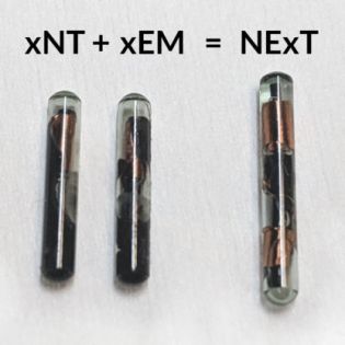 xNT + xEM = NeXT 
